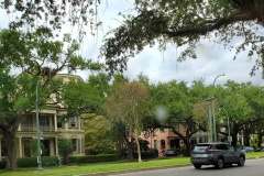 House in the Garden District